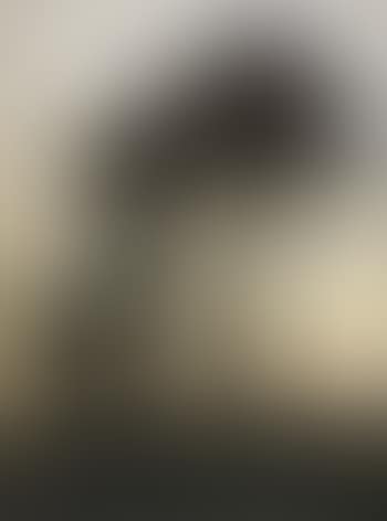 Landscape (preview)
