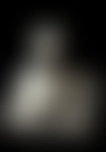 Bust of a lawyer or officer of state (preview)