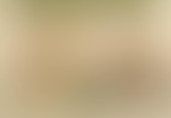 Two leaves, The beast which i saw was like unto a leopard. And he causeth all (preview)