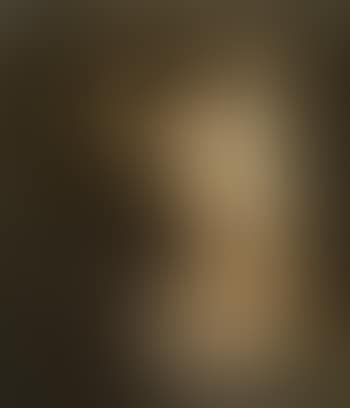 Le modele (preview)