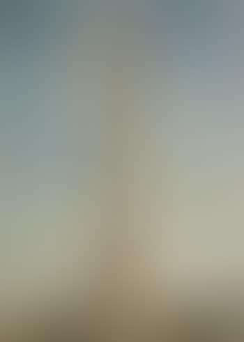 Pompey's column at Alexandria. Column by the sea with the French flag (preview)