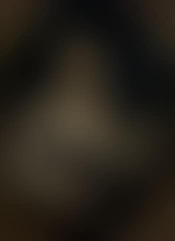 Portrait of a young lady, as Sculpture (preview)