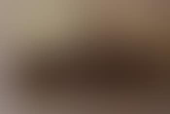 Highland landscape with cattle (preview)