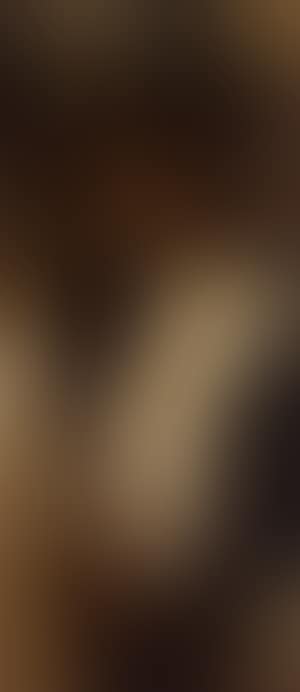 Woman in fur stole (preview)