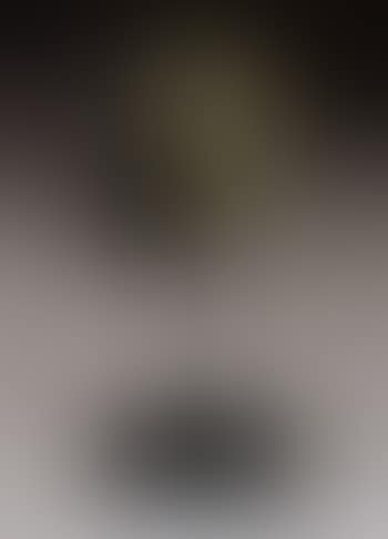 Auto-portrait quadrille (preview)