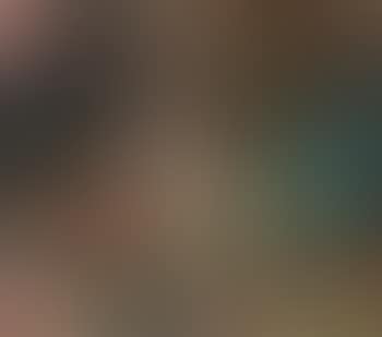Still life (preview)