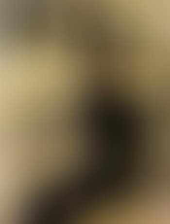 Divan Japonais (preview)