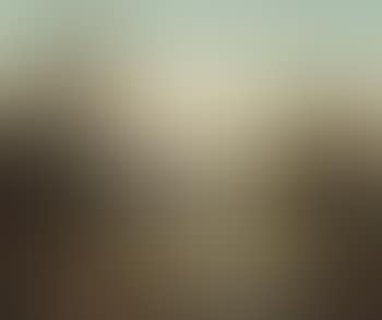 View along the Hudson (preview)