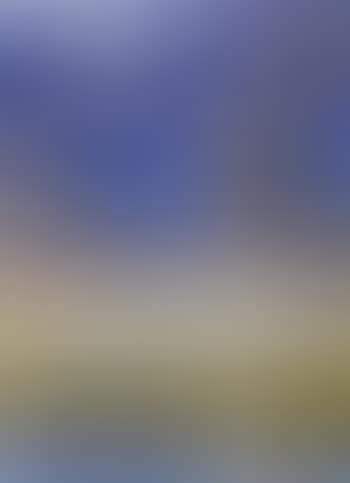 Shoalhaven (preview)