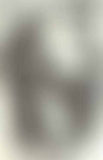 Black view (preview)