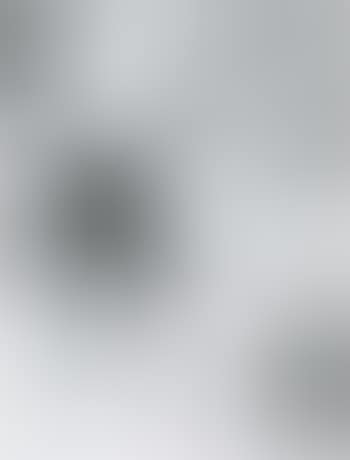 Merz V (preview)