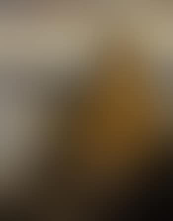 Portrait of fisherman (preview)