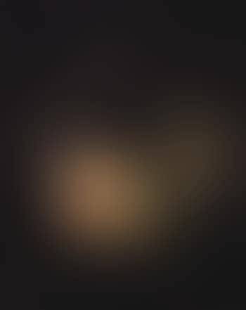 Branch of ripe apples (preview)