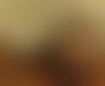 Interior scene with nude female model (preview)