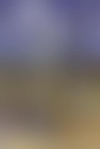 Shoalhaven landscape (preview)
