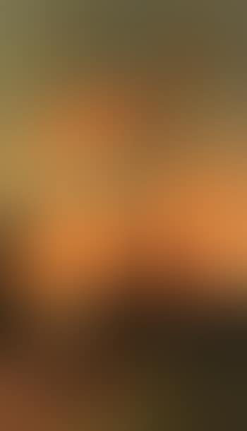Ondergaande zon (preview)
