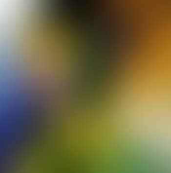 Surrealistic portrait (preview)