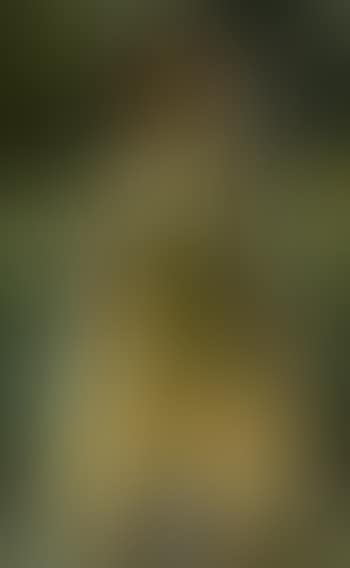 Seated female nude (preview)