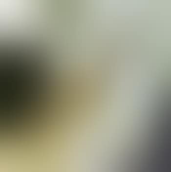 Large sheet (preview)