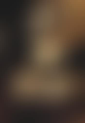 Portrait of Graffin Palffy (preview)