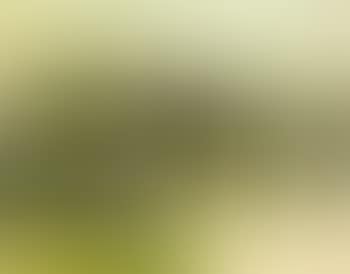 Landscape (preview)