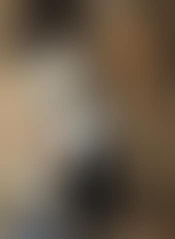 Visage de profil (preview)