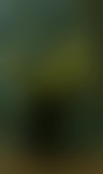 Still life of flowers in vase (preview)