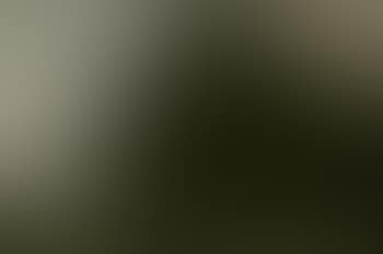 Wooded landscape (preview)