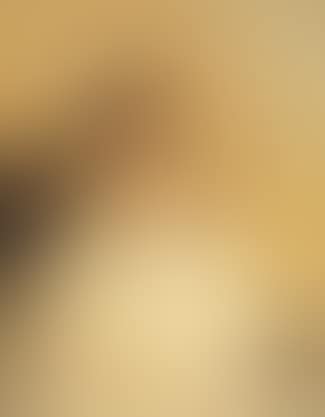 Portrait de jeune fille (preview)