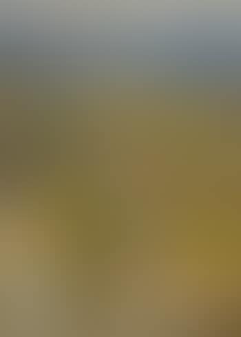 View from a window - path to the coast (preview)