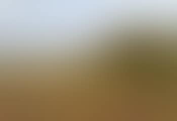 On Shere Heath, Surrey (preview)