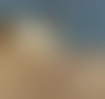Siesta (preview)