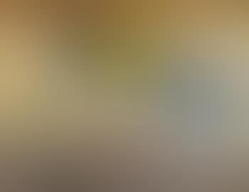 Bananas ans violas (preview)