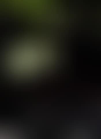 Black brook V (preview)