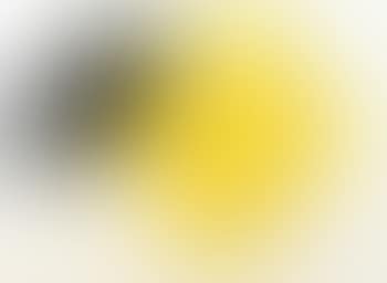 Yellow black - EK781 (preview)
