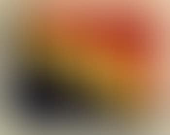 Honk (preview)
