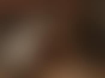 Joseph and Potiphar's wife (preview)