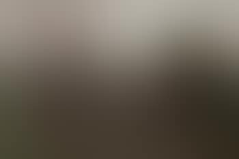 Haymaking (preview)
