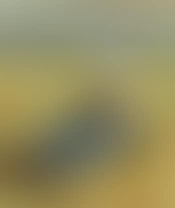 Skagen woman seated in the dunes (preview)