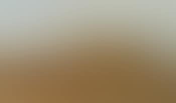 Dunes with sea in background (preview)