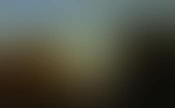 San Giorgio Maggiore, Venice, seen from an island in the lagoon (preview)