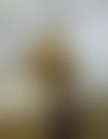 Woman in landscape (preview)