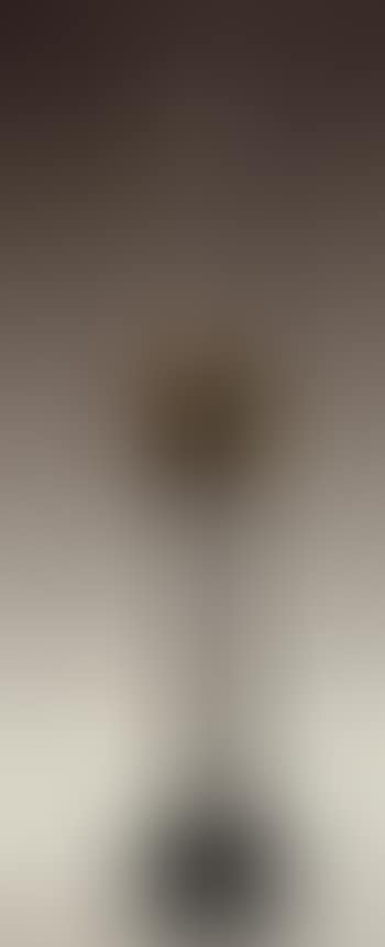 Totem (preview)