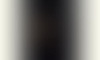 Still life with vase of flowers on table (preview)