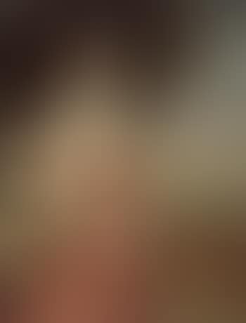 Portrait of a lady said to be Henrietta Fitzjames (preview)