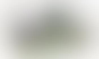 Bushes in landscape (preview)