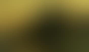 Punt in evening Havel landscape (preview)