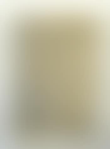 Ivory still life (preview)