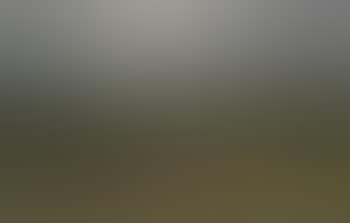 Whaddon chase, hunt from Oving, Buckinghamshire (preview)