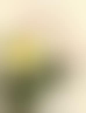 Still life of roses in yellow and pale pink (preview)